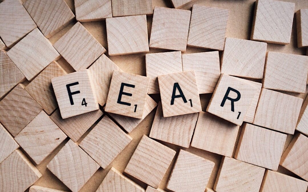Fear Must Not Inhibit a Financial Strategy