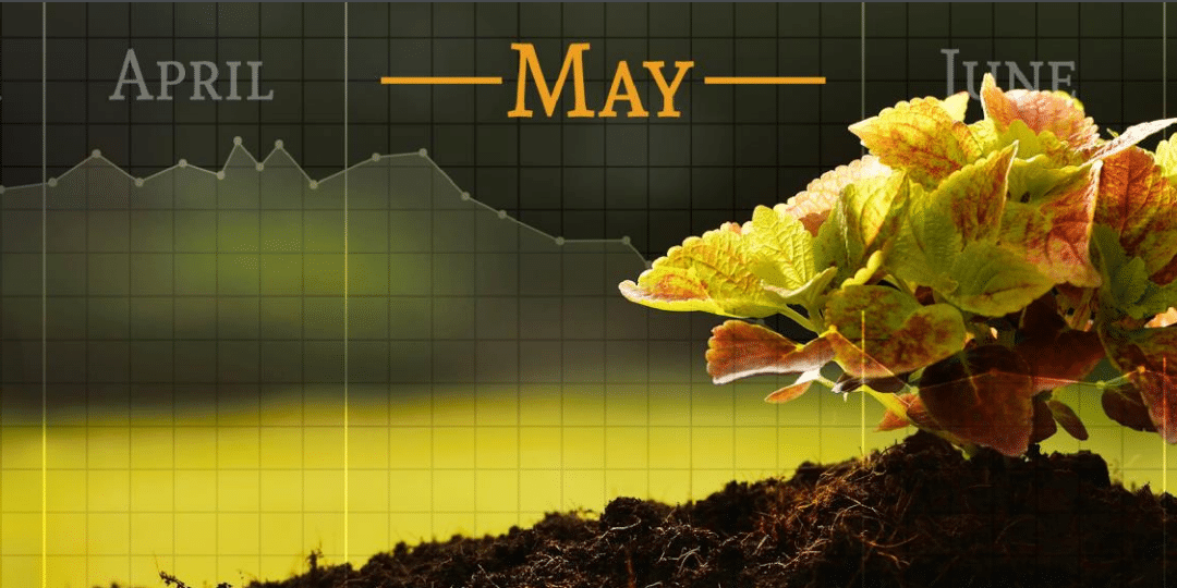 What does it mean to “Sell in May and Go Away”?
