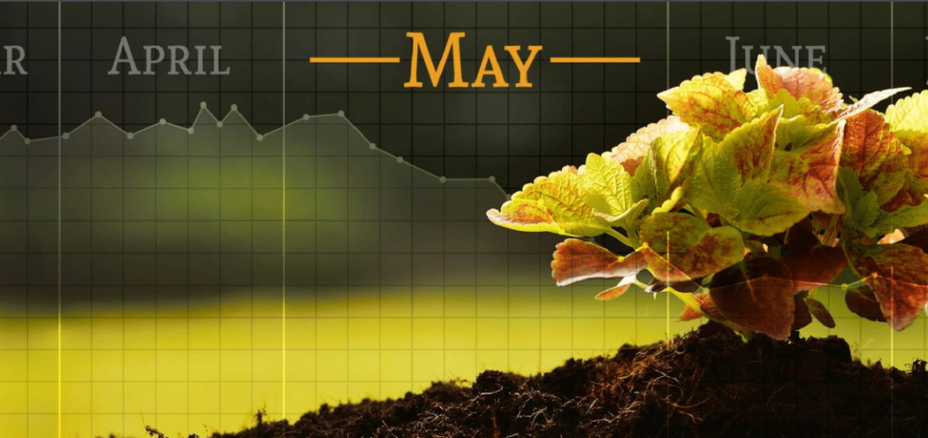 What does it mean to “Sell in May and Go Away