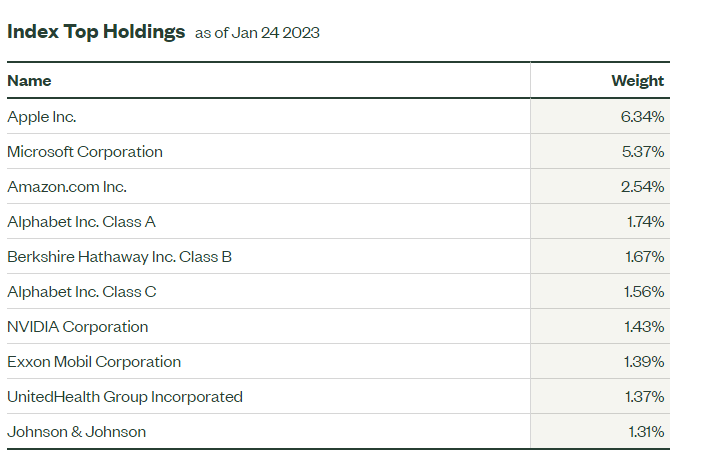 chart of the top 10 holdings in the S&P 500 index in 2023